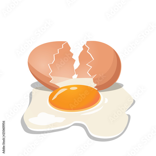 A cracked fresh chicken egg on a white background. Vector illustration.