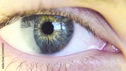 Blue Eye of a Beautiful Young Woman Looking Window. Sunny Day Outside the Window Reflected in Eyeball. Macro View photo