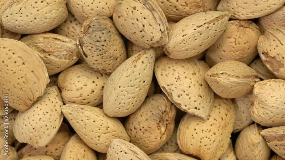 Almond nuts in shells background, top view slider pan Almond nuts in shells background, top view slider pan