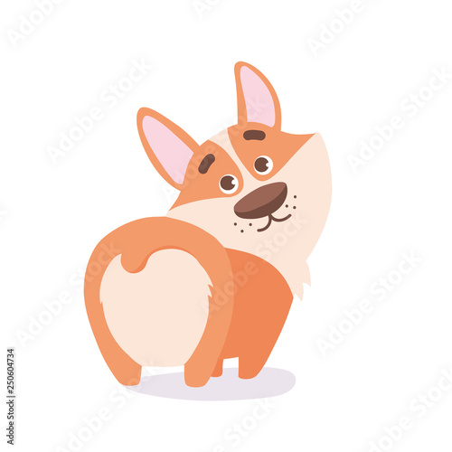 cute cartoon vector illustration of welsh corgi dog