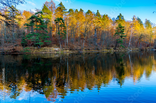 Magic colorful forest reflecting in silent lake water in autumn season