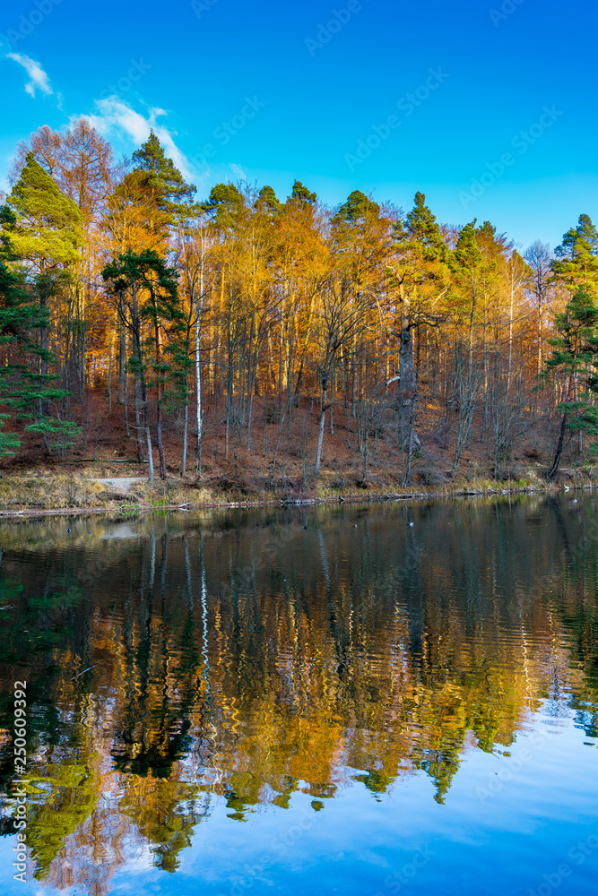 Autumn foliage  colored trees mirroring in glassy lake water