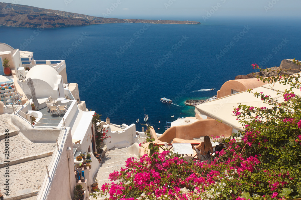 Fototapeta premium Santorin fleurs