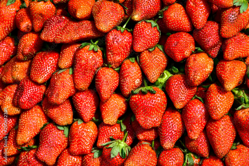 Strawberries Strawberries