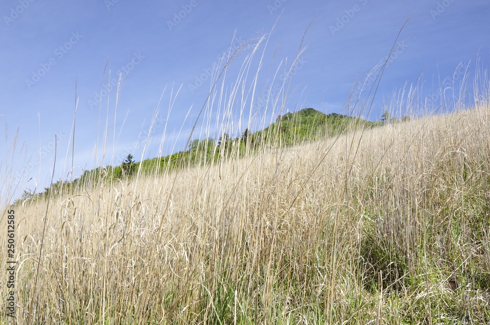 Fototapeta premium 扇平のカヤトより望む乾徳山