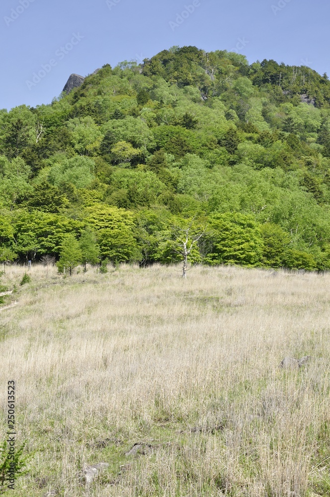 乾徳山と扇平のカヤト原 乾徳山と扇平のカヤト原