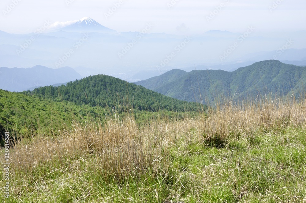 Fototapeta premium 乾徳山より初夏の富士山遠望