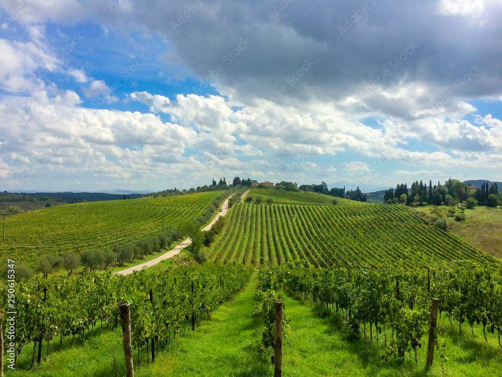 Landschaft bei Siena im Chiantigebiet, das Weingut Tenuta di Monaciano