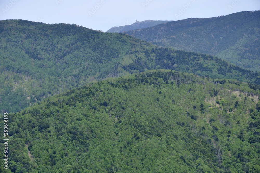 緑の山地と五丈岩 緑の山地と五丈岩