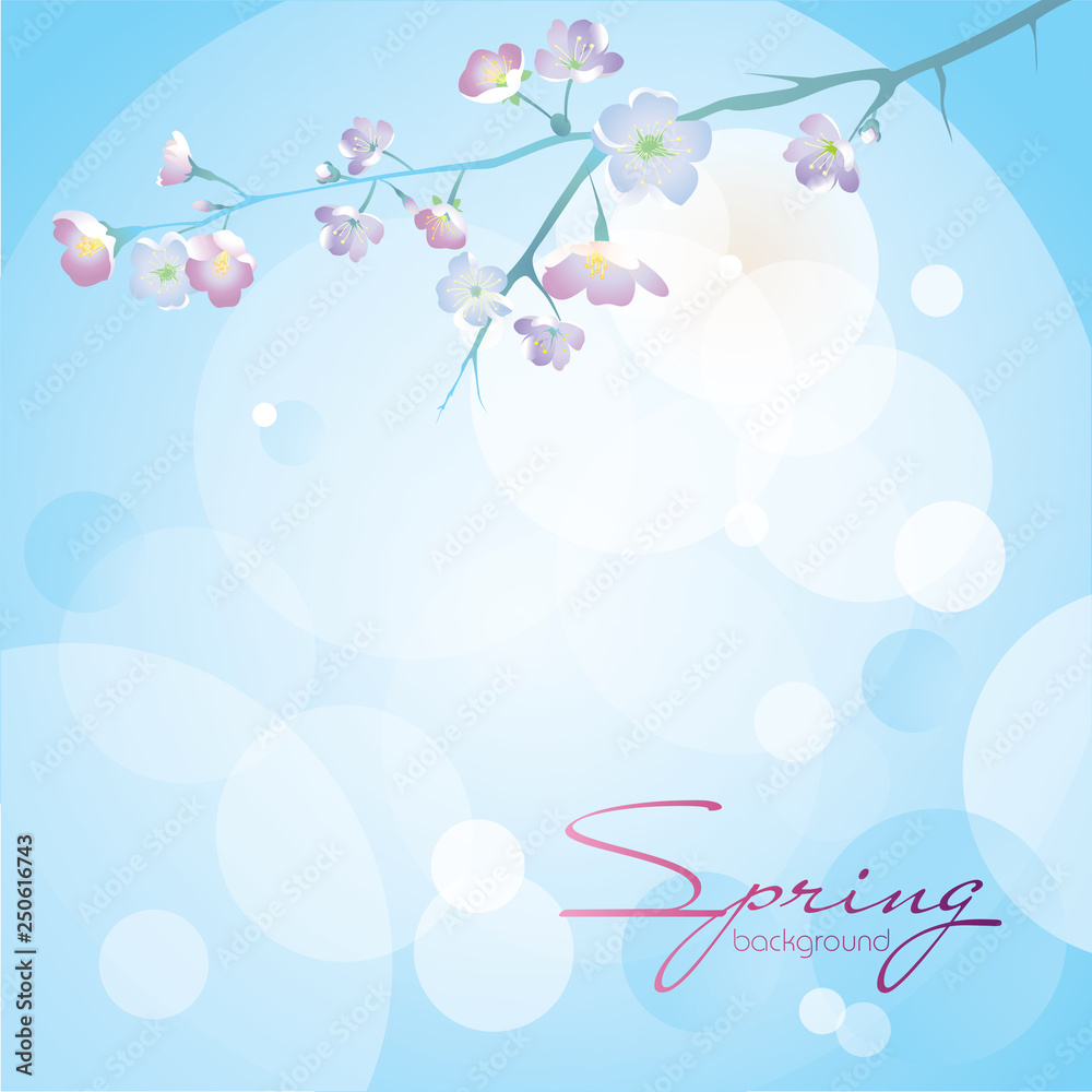 A branch of cherry blossoms on a blue with a white background.