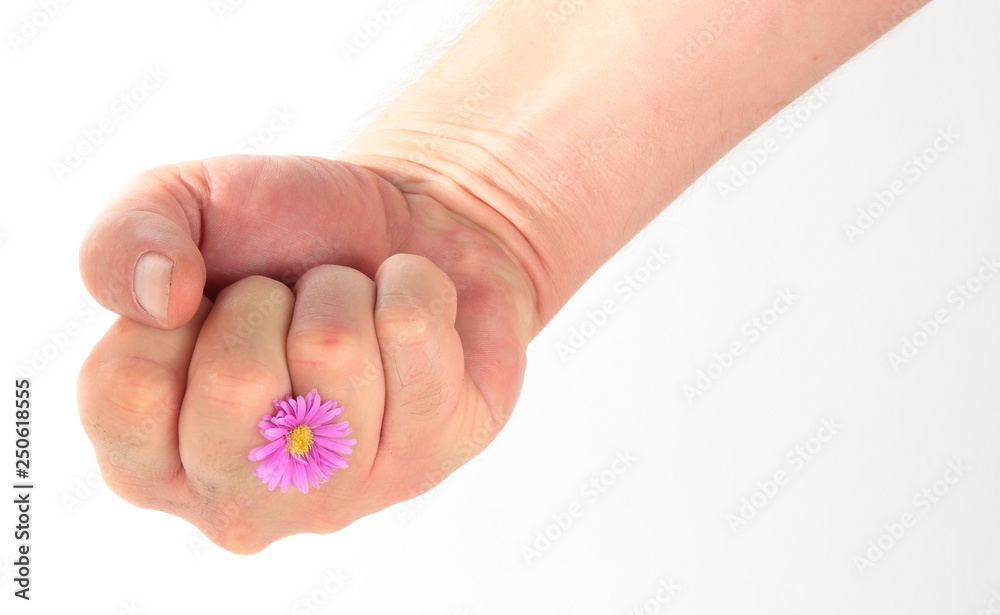 pugno high key con fiore pugno high key con fiore