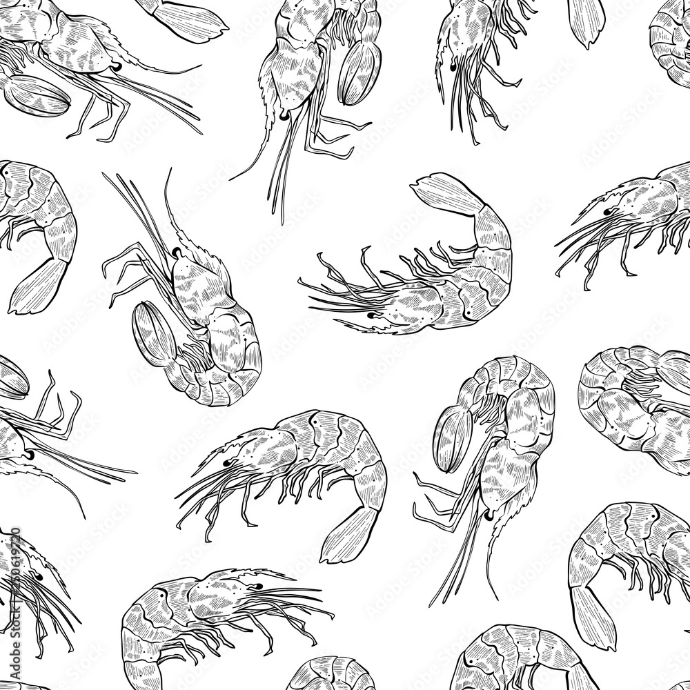 Seamless pattern of hand drawn shrimps, vector