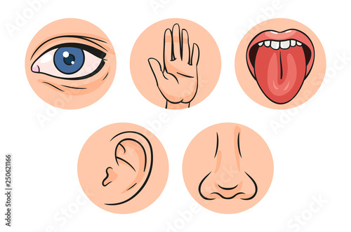 Five Senses Vector Illustrations. Taste, Sight, Touch, Smell, Hearing. Eye, Hand, Mouth, Tongue, Ear, Nose.