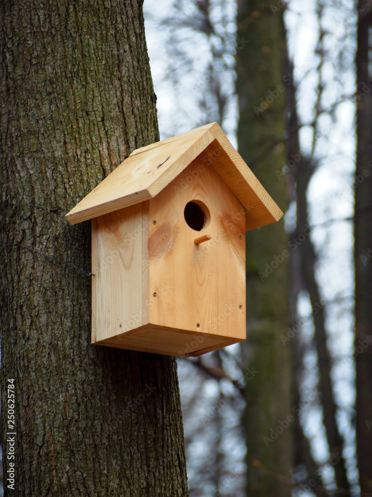 Early spring, birdhouse waiting for new owners. Wooden birdhouse attached to the tree trunk. Early spring, birdhouse waiting for new owners. Wooden birdhouse attached to the tree trunk.