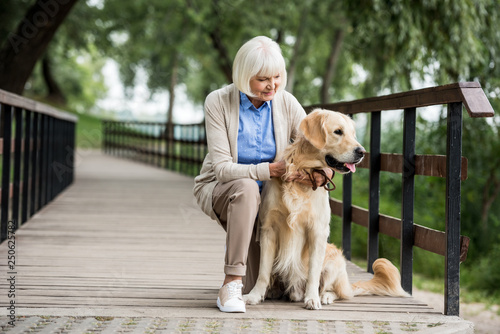 senior woman with golden retriever dog on wooden bridge