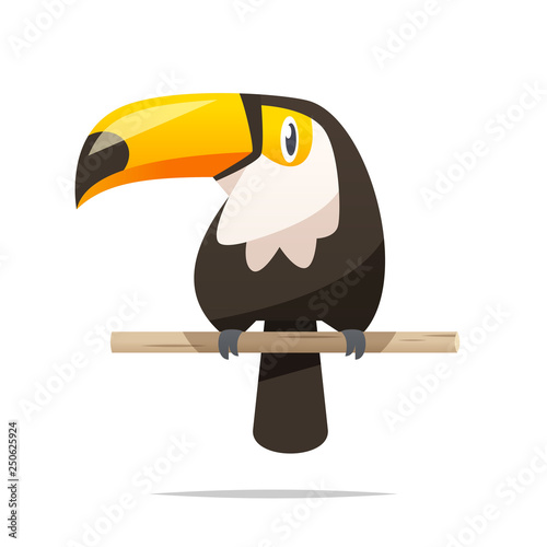 Cartoon toucan vector isolated illustration