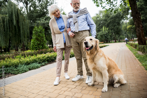 happy senior couple with adorable dog in park