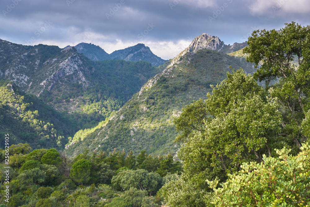Naklejka premium Sierra Blanca. Estrivaciones con el Parque Nacional de Sierra de las Nieves, Málaga. España