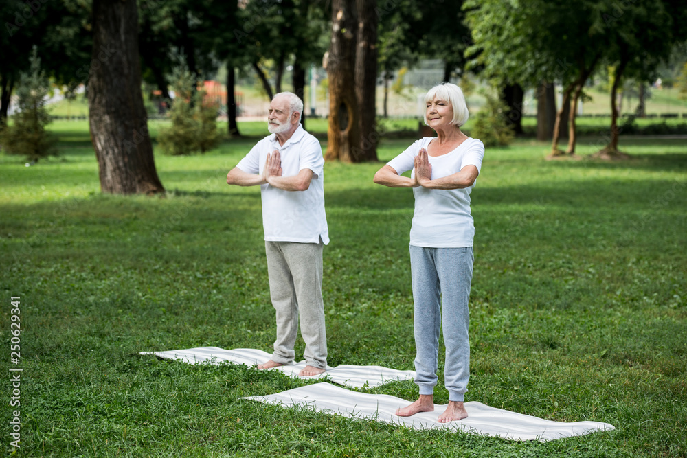 happy senior couple practicing meditation sukhasana standing poses with folded hands