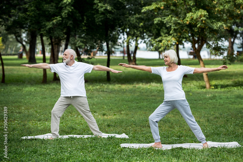 senior couple practicing  warrior II poses while standing on yoga mats © LIGHTFIELD STUDIOS