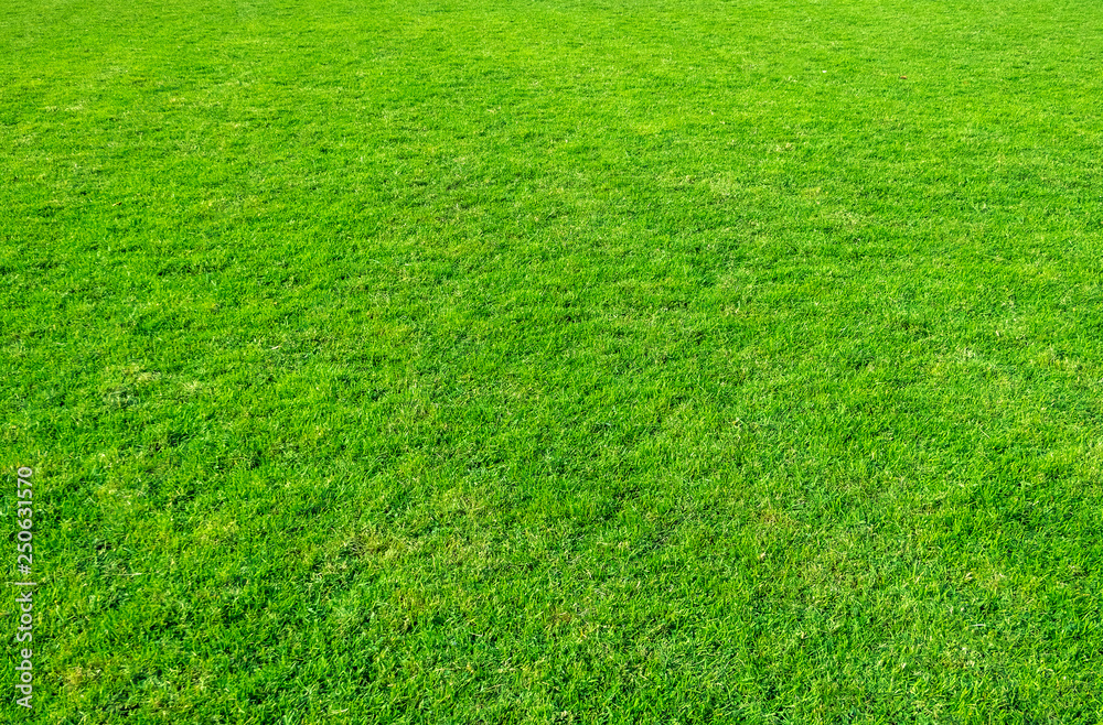 Background of green grass field. Green grass pattern and texture. Green lawn for background. Background of green grass field. Green grass pattern and texture. Green lawn for background.