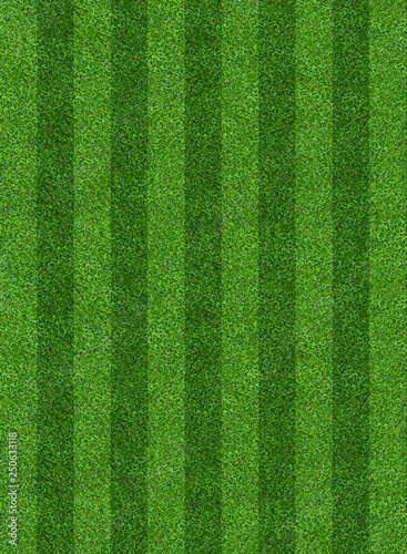 Green grass field background for soccer and football sports. Green lawn pattern and texture background. Close-up. © Lifestyle Graphic