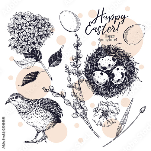 Easter greeting card. Hand drawn vector banner. Eggs, nest, Easter cake, willow branch, quail, hydrangea flower, poppy. Vintage engraved spring holiday decoration. Traditional retro icon set.