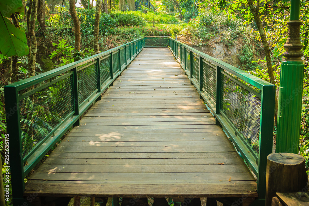 Wooden and steel bridge in between trekking trail in the tropical forest.