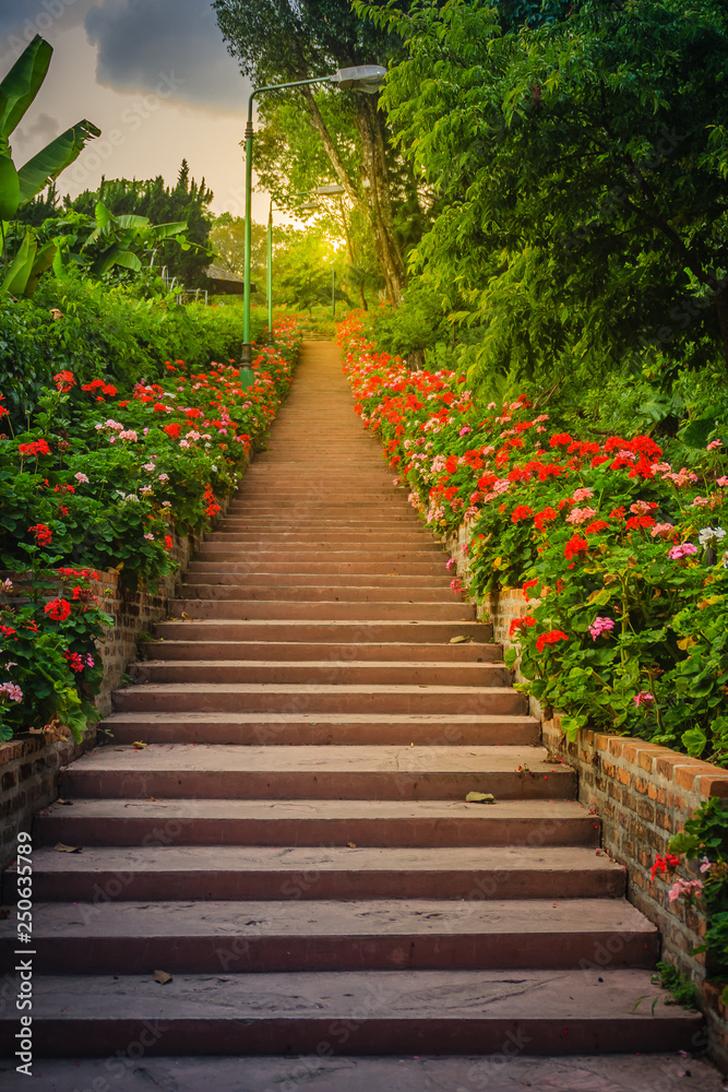 Perspective row of pink and red blooming geranium flowers on side of the brick and stone staircase at Bhubing palace, Chiang Mai, Thailand. Selective focus