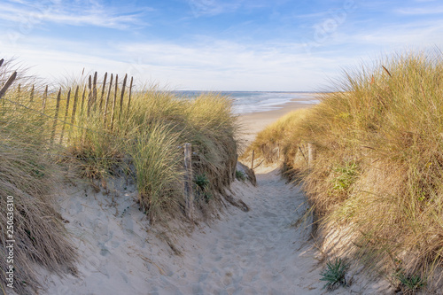 French landscape - Bretagne. Small path with dunes and grass.