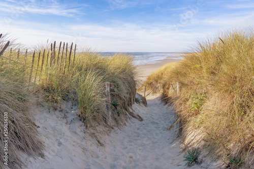 Fototapeta Naklejka Na Ścianę i Meble -  French landscape - Bretagne. Small path with dunes and grass.