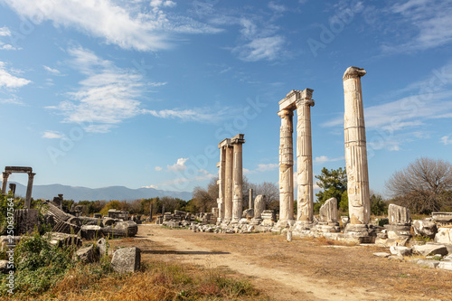 The archaeological site of an ancient Greek city of Aphrodisias in Aydin Province of Turkey.