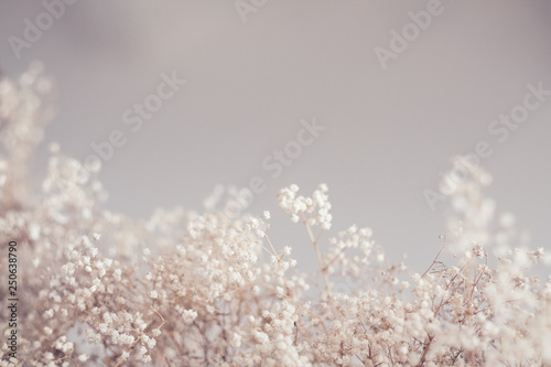 Floral pattern design. Dry grass decor. Copy space on beige color background. photo