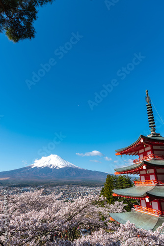 Mount Fuji viewed from behind Chureito Pagoda in full bloom cherry blossoms springtime sunny day in clear blue sky natural background. Arakurayama Sengen Park, Fujiyoshida, Yamanashi Prefecture, Japan