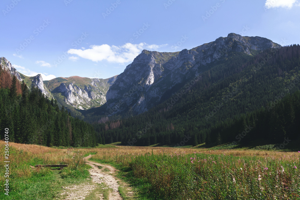 Summer travel to the Tatras national park 