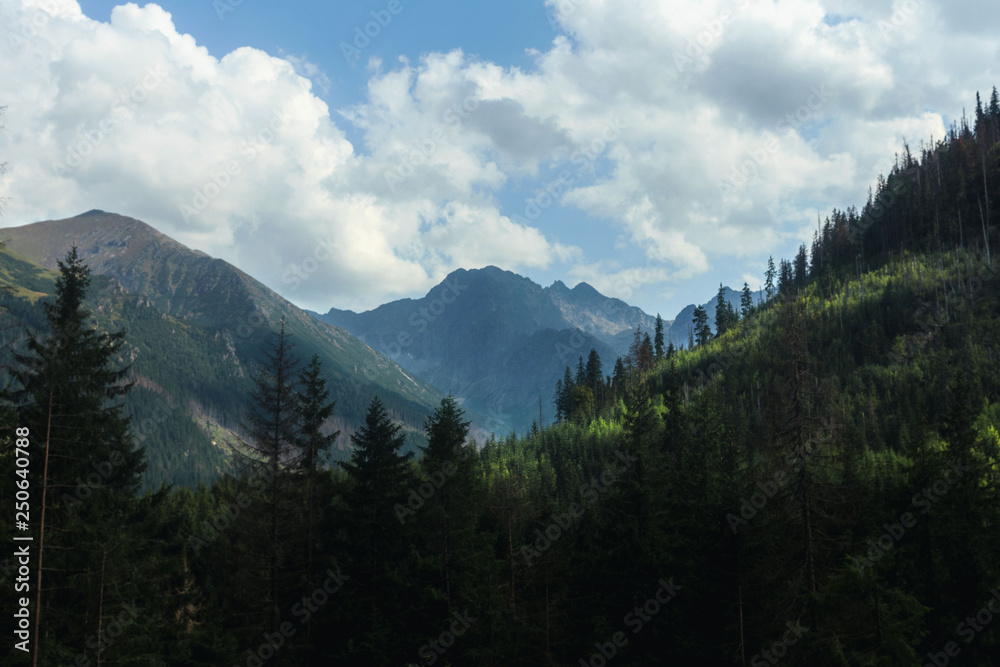 Summer travel to the Tatras national park 