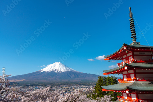 Mount Fuji viewed from behind Chureito Pagoda in full bloom cherry blossoms springtime sunny day in clear blue sky natural background. Arakurayama Sengen Park, Fujiyoshida, Yamanashi Prefecture, Japan