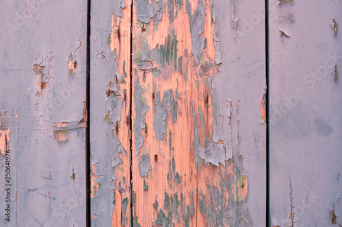 Weathered wood light blue and green. Cracked paint on a wooden wall. Grunge background. © Marharyta