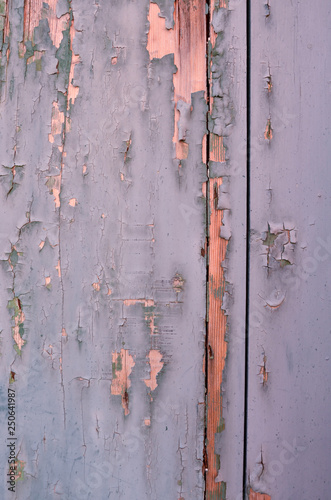 Weathered wood. Cracked paint on a wooden wall. Grunge background. Weathered wood light blue and green