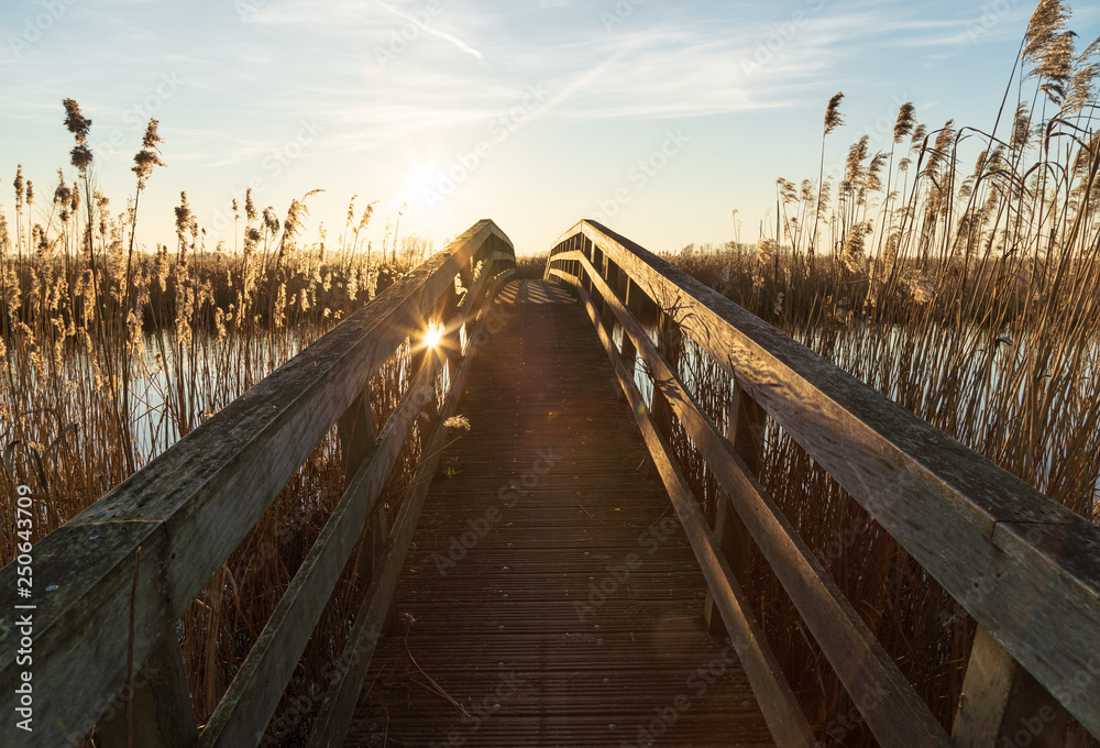 Last sunlight at a small bridge in a nature reserve. De Onlanden, Drenthe, Holland.