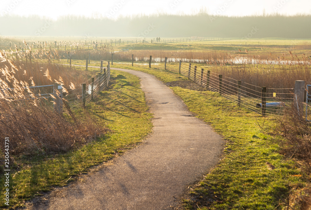 Footpath in the Dutch countryside at sunrise.