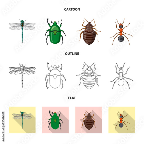 Isolated object of insect and fly sign. Set of insect and element vector icon for stock. © Svitlana