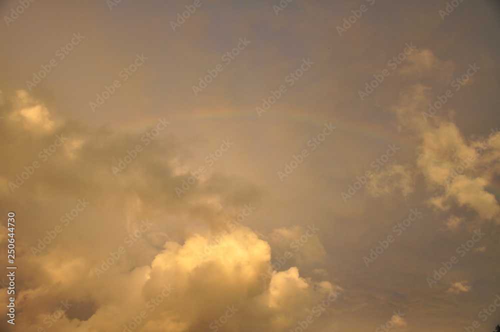 Fototapeta premium rainbow