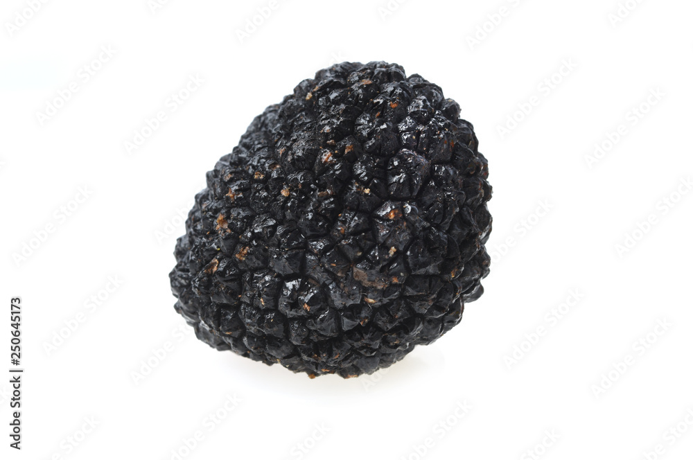 truffle truffle