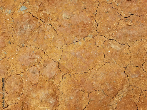 Texture of dry cracked earth.