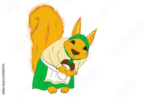 squirrel on white background