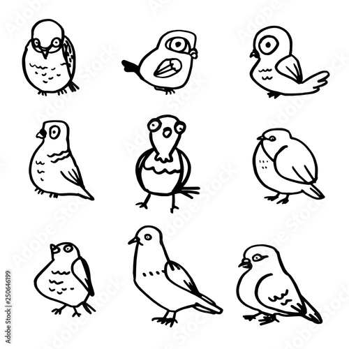 Collection of hand drawn birds on white background