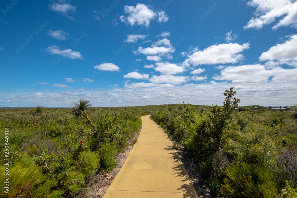 Hiking path through beautiful green landscape in Western Australia at Nilgen Nature Reserve