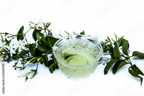 Close up of tea of Indian jasmine flower or juhi or Jasminum Auriculatum isolated on white  in a glass cup with raw flowers.; photo