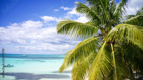 Wonderful tropical exotic caribbean beach  Saona  Dominican Republic 